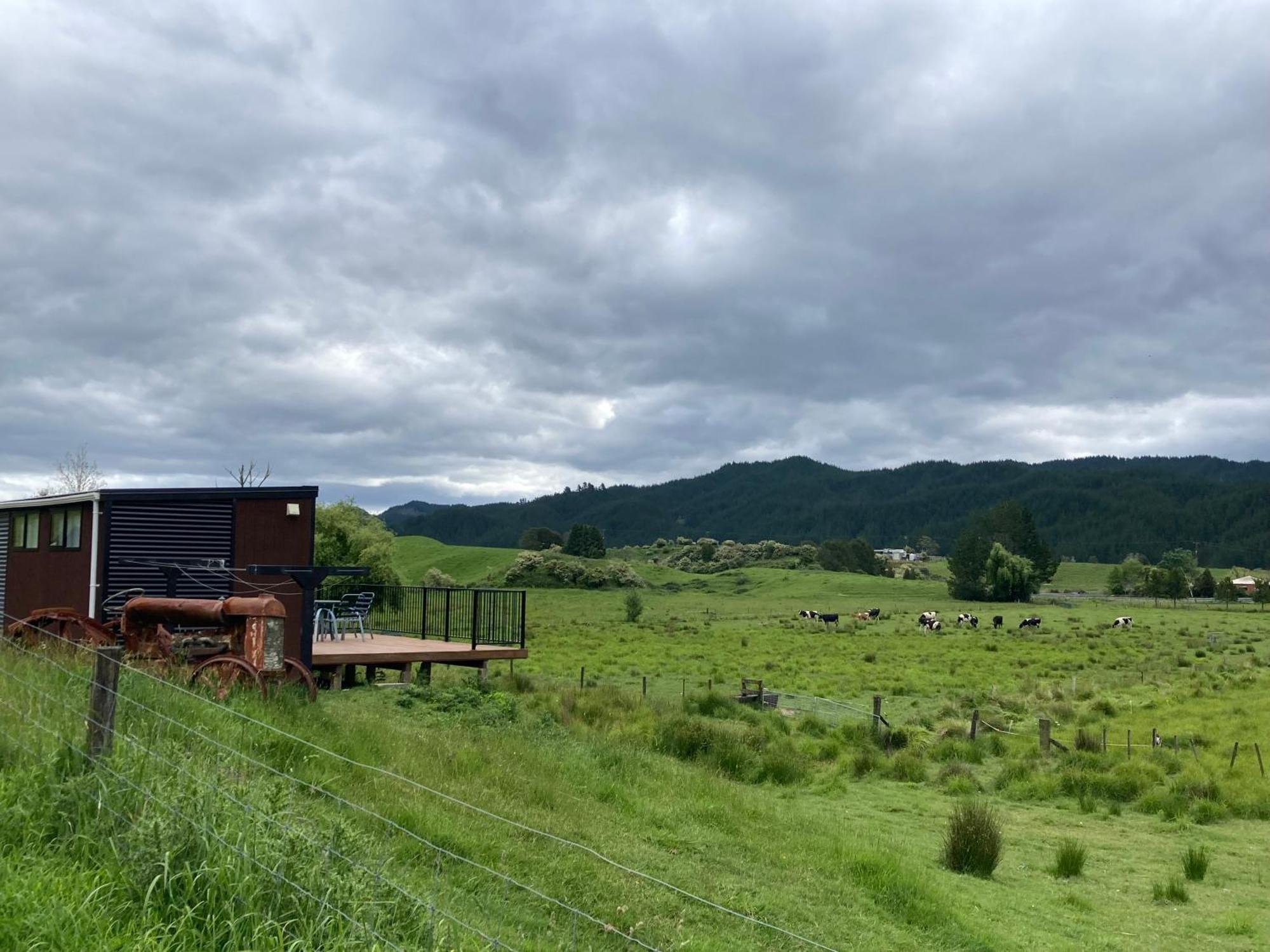 White Pine Bush Cabins Taneatua Εξωτερικό φωτογραφία